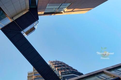 017architecture-lands-wm-ls