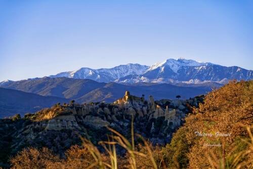 001canegou-lands-wm-ls