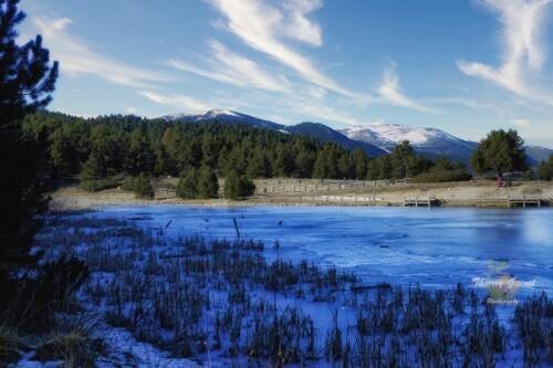 024pyrenees-lands-wm-ls