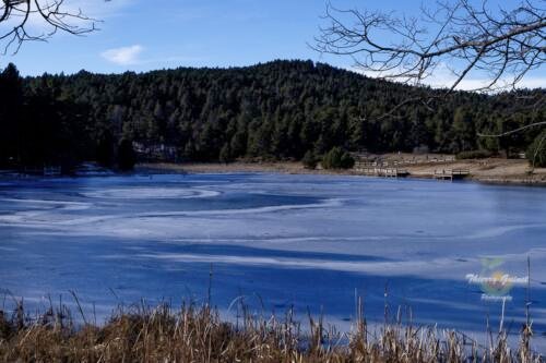 028pyrenees-lands-wm-ls