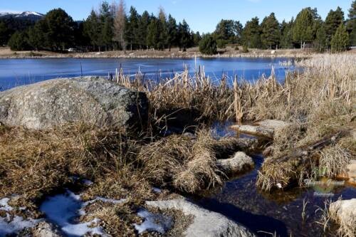 029pyrenees-lands-wm-ls