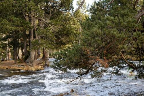 031pyrenees-lands-wm-ls