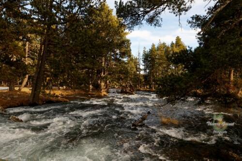 032pyrenees-lands-wm-ls
