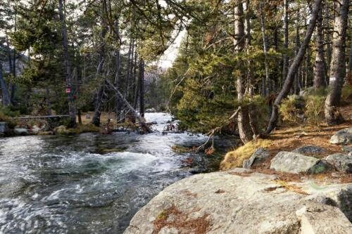 033pyrenees-lands-wm-ls