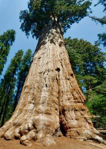 sequia-p-o4macro-ls-wm