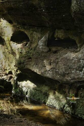 004architecture-port-wm-